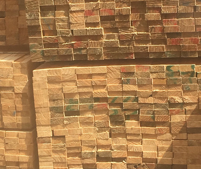 鼓楼新西兰进口松木